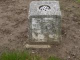 image of grave number 238589